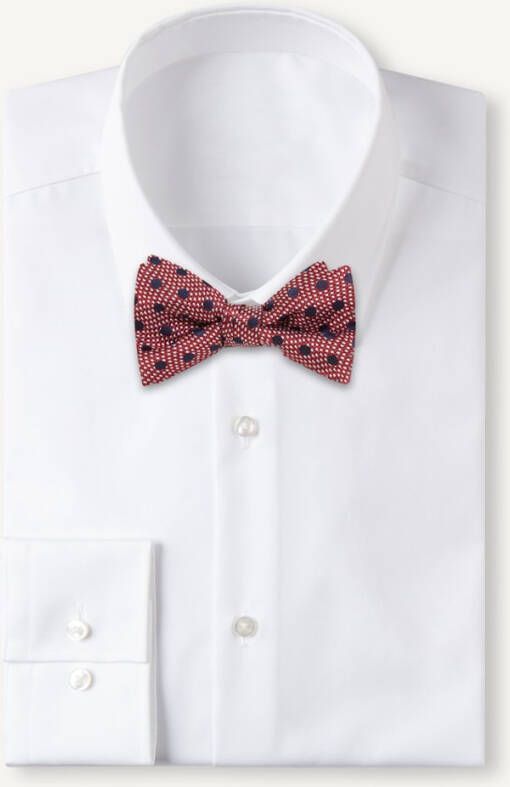 Ted Baker Bowdott vlinderdas van zijde