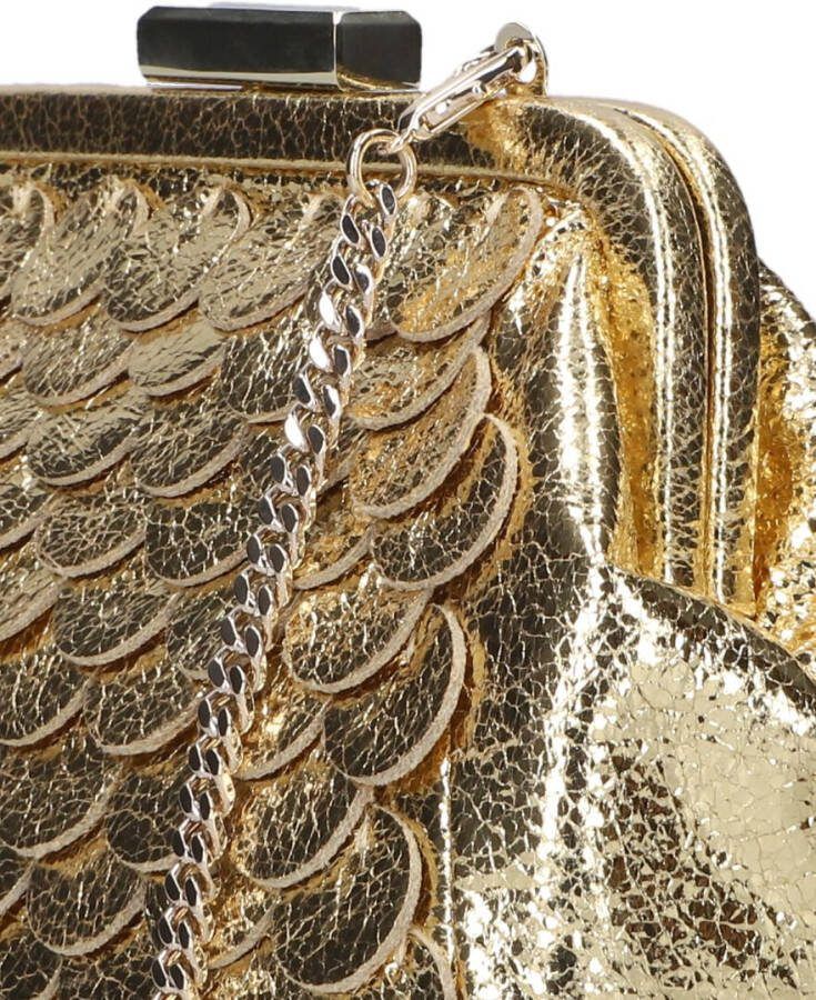 Ted Baker Gouden Schoudertas Aubary