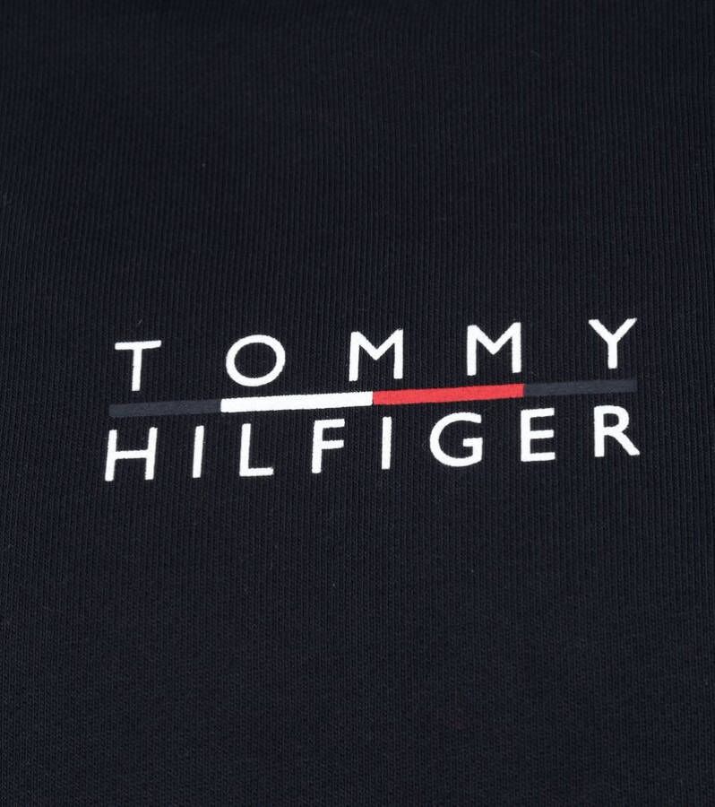 Tommy Hilfiger Hoodies & sweatvesten Blauw Heren