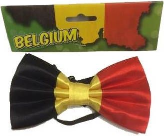 Feestbazaar Strik satijn Belgie