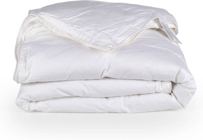 Cinderella synthetisch 4 seizoenen dekbedden peuterdekbed Kidss Ecodown