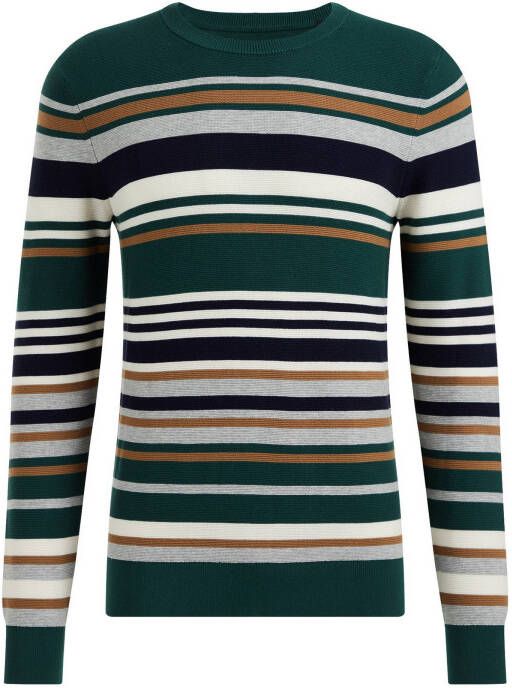WE Fashion gestreepte fijngebreide trui donkergroen
